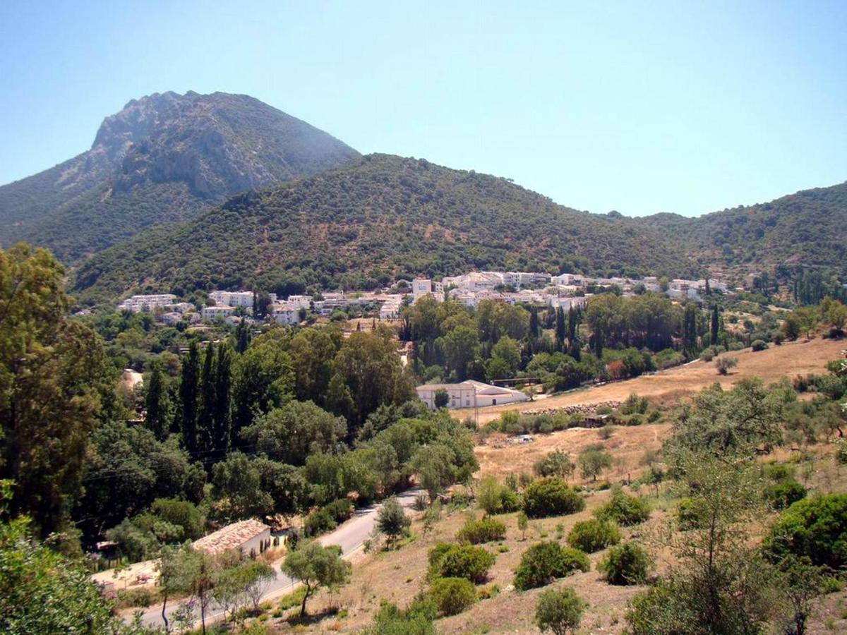 Mi Casa En Benamahoma Daire Dış mekan fotoğraf