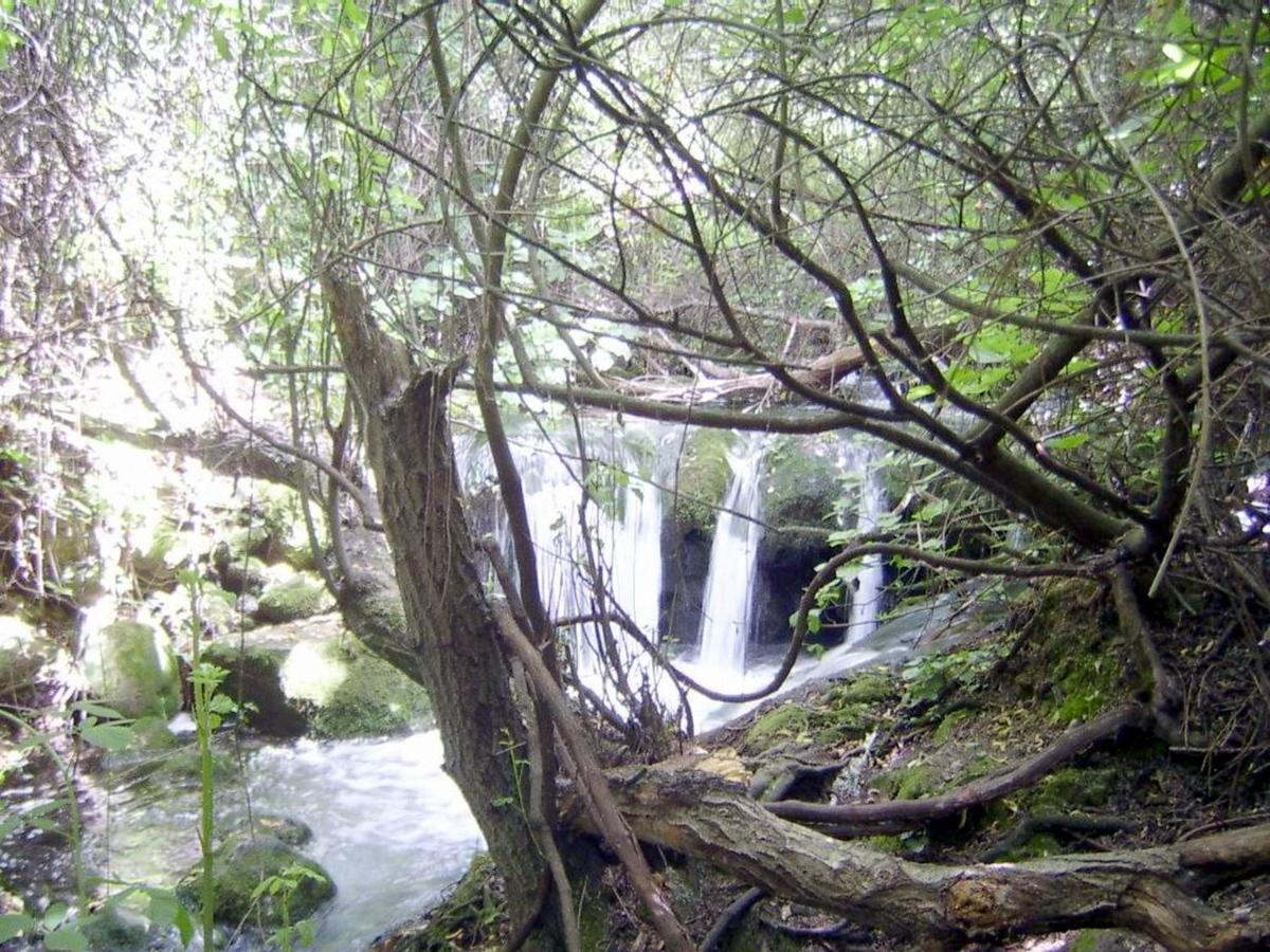 Mi Casa En Benamahoma Daire Dış mekan fotoğraf